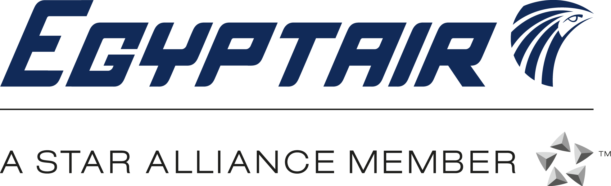 Egyptair Mobile Apps - Airline Mobile Apps