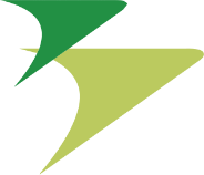 Binter Canarias logo