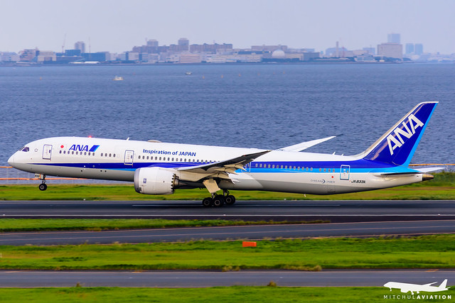 ANA - All Nippon Airways Boeing 787 aircraft