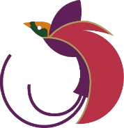 Air Niugini logo