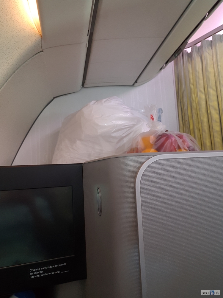Traveler photo, seat 1A