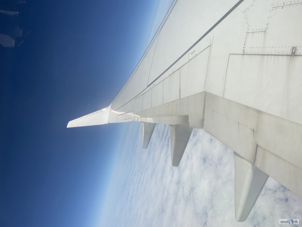 Traveler photo, seat 22A